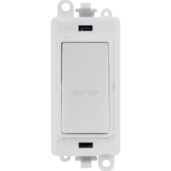 CLICK GRID PRO 20AX DP SWITCH MODULE ENGRAVED 